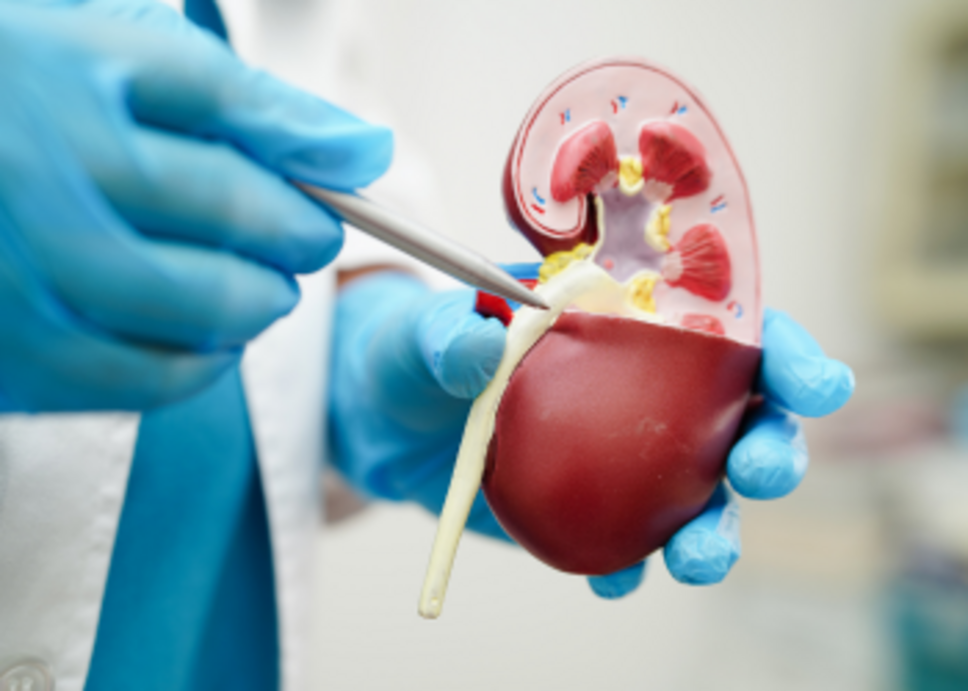 Reconstructive Urology
